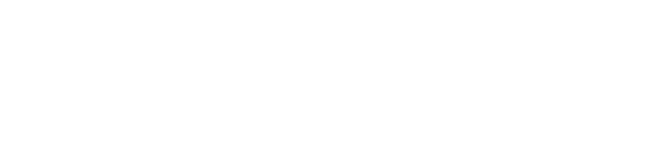 stonebitinfotech.com